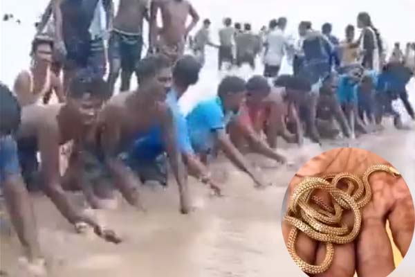 திருச்செந்தூர் கடற்கரையில் காணாமல் போன தங்க செயின்…. கண்டுபிடித்தது எப்படி….? வைரலாகும் வீடியோ காட்சி….!!