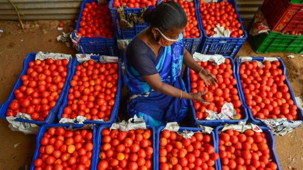 மீண்டும் உயர்ந்தது தக்காளி விலை…. பொதுமக்களுக்கு ஷாக் நியூஸ்…!!!