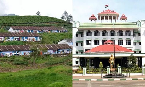 மாஞ்சோலை தொழிலாளர்களை வெளியேற்றக் கூடாது… மத்திய, மாநில அரசுகளுக்கு கோர்ட்  அதிரடி உத்தரவு…!!!
