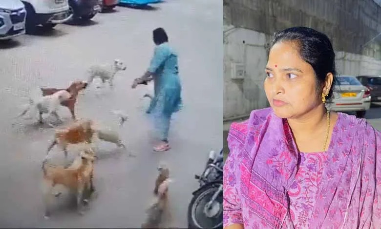 நடைப்பயிற்சி சென்ற பெண்ணை தாக்கிய 15 தெரு நாய்கள்….. பெரும் அதிர்ச்சி சம்பவம்…!!!