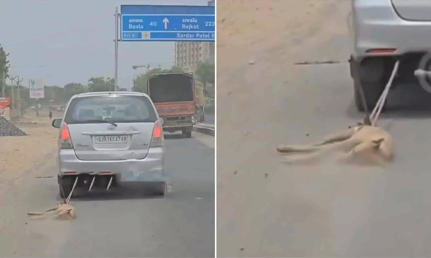 வாயில்லா ஜீவனுக்கு நடந்த கொடூரம்… நடு ரோட்டில் தரதரவென நாயை இழுத்துச் சென்ற கார்.. அதிர்ச்சி வீடியோ…!!!