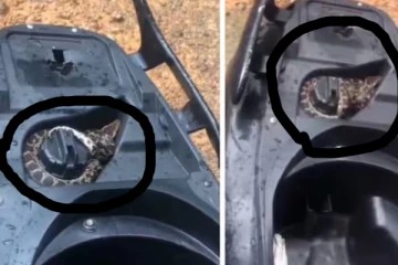 அம்மாடியோ…! ஸ்கூட்டிக்குள் பதுங்கியிருந்த பாம்பு…. வைரலாகும் அதிர்ச்சி வீடியோ…!!