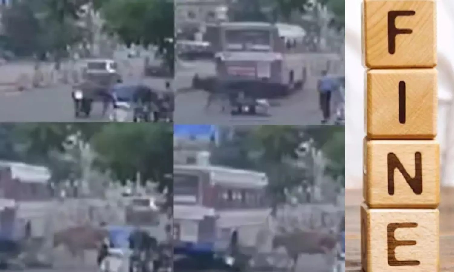 நெல்லலையில் மாடு முட்டி பலியான நபர்…. மாநகராட்சி நிர்வாகம் அதிரடி உத்தரவு…!!!