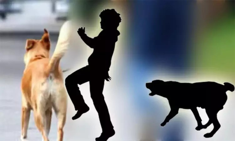 விளையாடிக் கொண்டிருந்த சிறுவனை கடித்து குதறிய  ராட்வீலர் நாய்… சென்னையில் மீண்டும் அதிர்ச்சி…!!