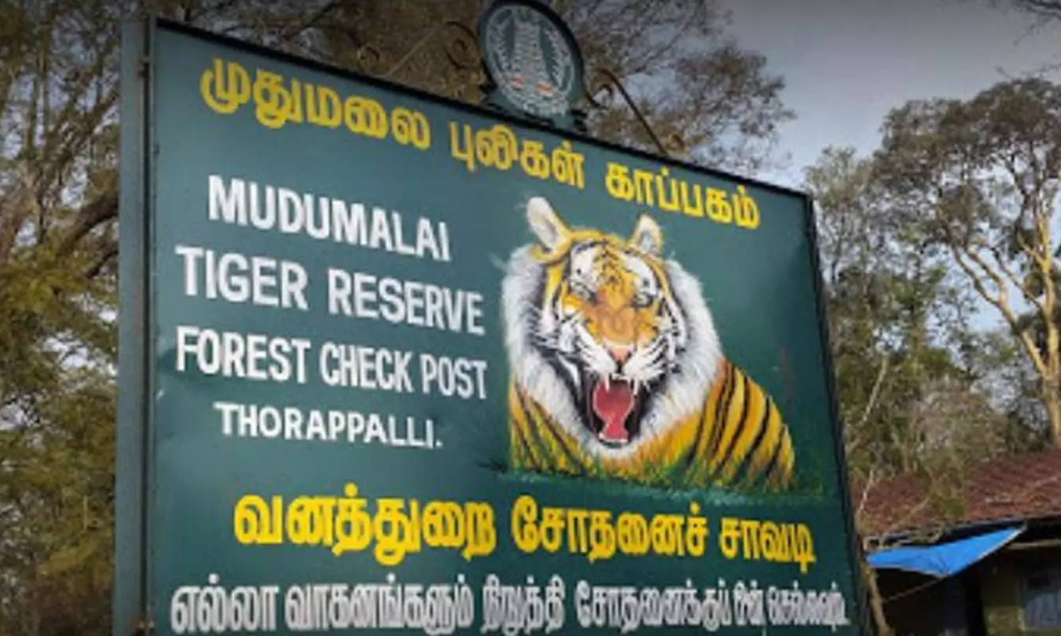 சுற்றுலா பயணிகள் கவனத்திற்கு… இன்று முதல் 3 நாட்களுக்கு முதுமலை புலிகள் காப்பகம் மூடல்…!!