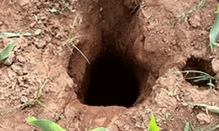 மீண்டும் ..! ஒரு துயர சம்பவம் 3 வயது சிறுமி…. பல மணி நேரம் போராடியும் பரிதாபமாக போன உயிர்… கதறும் பெற்றோர்…!!!