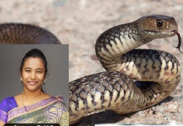 “ஒன்னா ரெண்டா 7 முறை” இளைஞரின் பாம்பு பயத்தை போக்கிய தமிழக IAS அதிகாரி….!!!