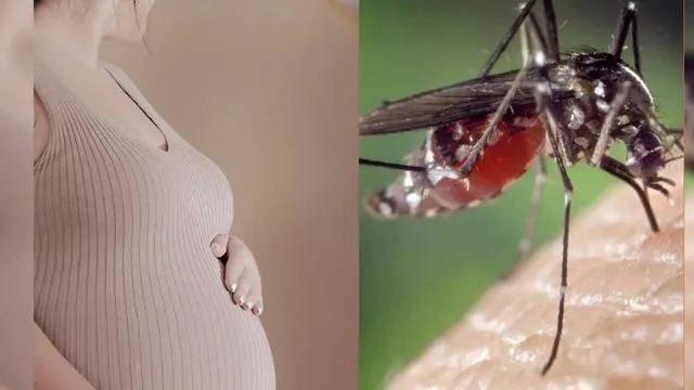 கர்ப்பிணி பெண்களுக்கு ஜிகா வைரஸ் இருக்கிறதா…? மத்திய அரசு முக்கிய வலியுறுத்தல்…!!