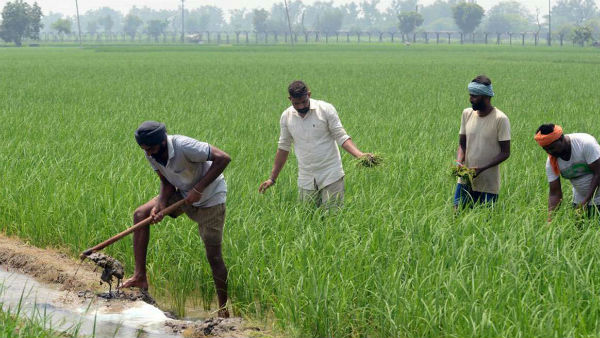 பயிர் காப்பீடு… ஜூலை 31 தான் கடைசி நாள்… விவசாயிகளுக்கு தமிழக அரசு முக்கிய அறிவிப்பு..!!
