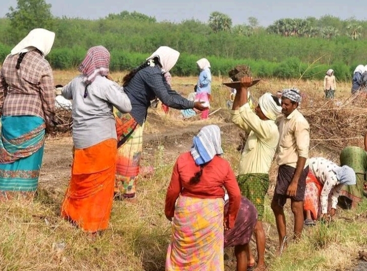 100 நாள் வேலை திட்டம்…. தமிழகத்தில் 6.19 லட்சம் பேர் தகுதி நீக்கம்… வெளியான அதிர்ச்சி தகவல்…!!!
