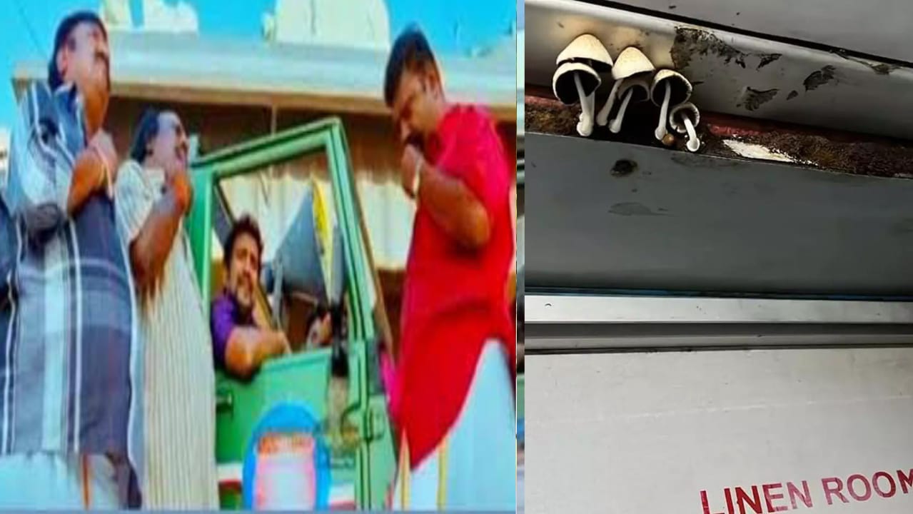 ஓ இப்படி கூட நடக்குமா…? ரயிலுக்குள் முளைத்த காளான்…. அது எப்படிப்பா…? விமர்சிக்கும் நெடிசன்கள்…!!