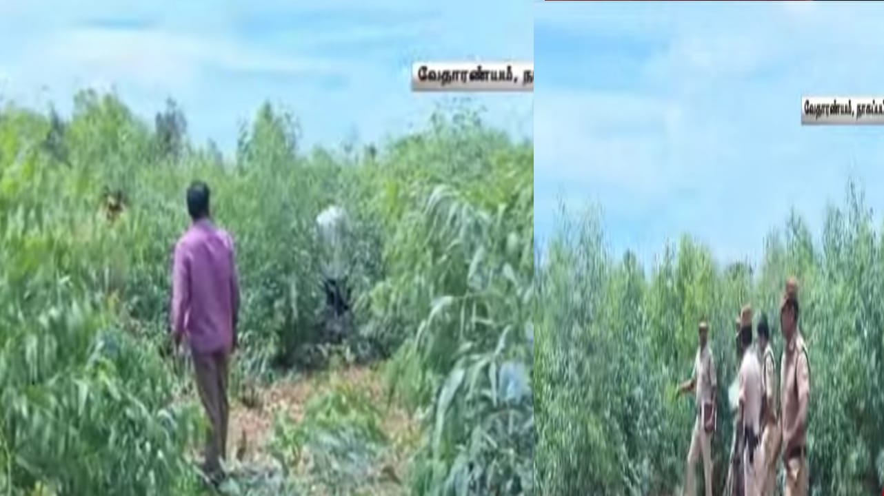 மரத்தடியில் துண்டு துண்டாக கிடந்த உடல்… மர்மம் நீங்காமல் விசாரணை..!  வேதாரண்யத்தில் பரபரப்பு.!