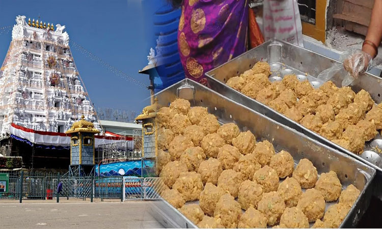 “சர்ச்சைக்கு பின் அமோக விற்பனை”… திருப்பதியில் 4 நாட்களில் 14,00,000 லட்டுக்கள்…. பக்தர்கள் சொன்ன ஆச்சரிய தகவல்..!!