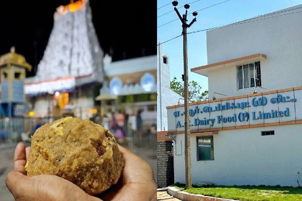 Breaking: திருப்பதி லட்டு விவகாரம்… தமிழ்நாட்டைச் சேர்ந்த பிரபல பால் நிறுவனம் மீது வழக்குப்பதிவு…!!!