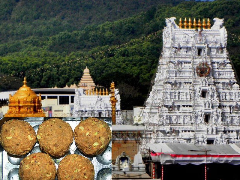 இனி திருப்பதி கோவிலில்  “அன்லிமிடெட் லட்டு”….. தேவஸ்தானம் அசத்தல் அறிவிப்பு..‌.!!!