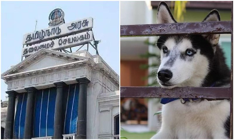 மக்களே..! நாய் வளர்க்கிறீர்களா…? தமிழக அரசு வெளியிட்ட மிக முக்கிய எச்சரிக்கை அறிவிப்பு…!!