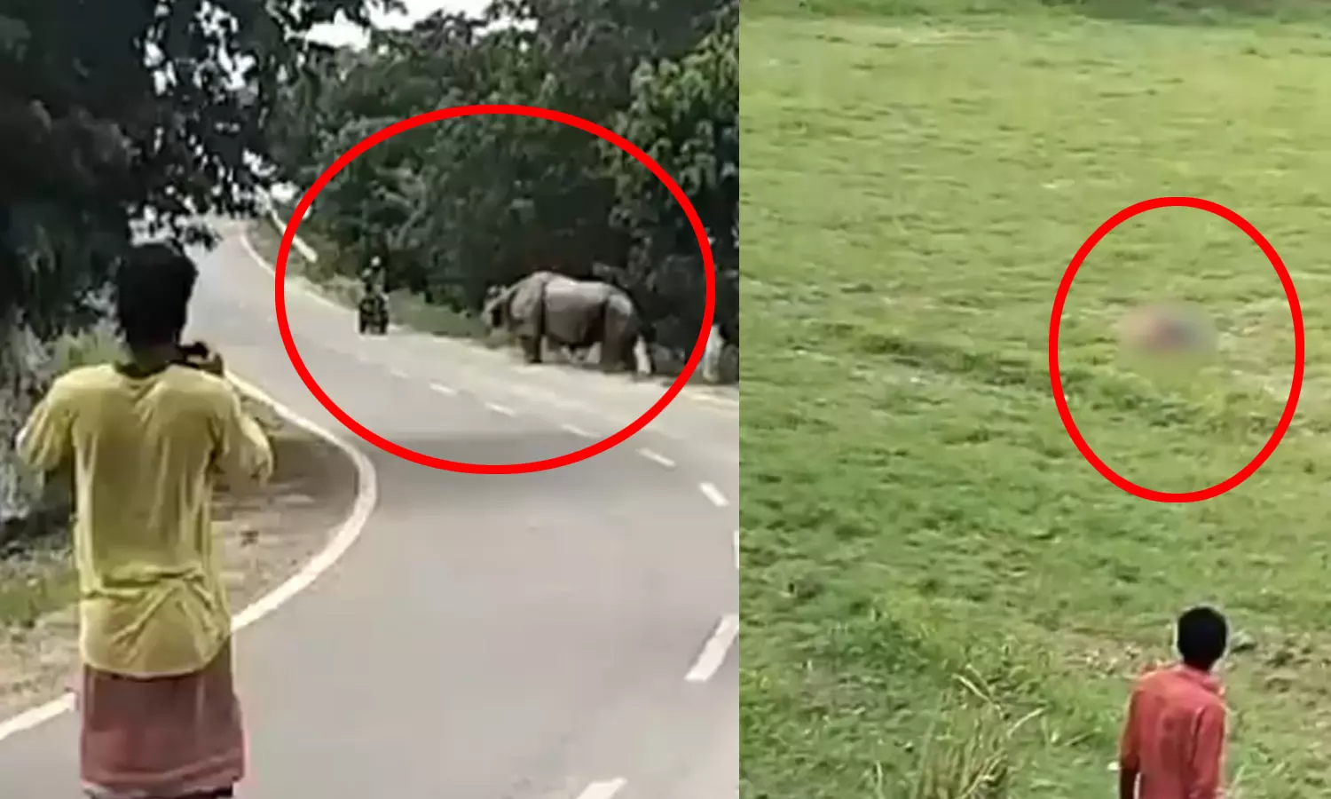செம ஷாக்…! பயங்கரமாக தாக்கிய காண்டாமிருகம்… துடி துடித்து பலியான நபர்… பதை பதைக்க வைக்கும் வீடியோ..!!