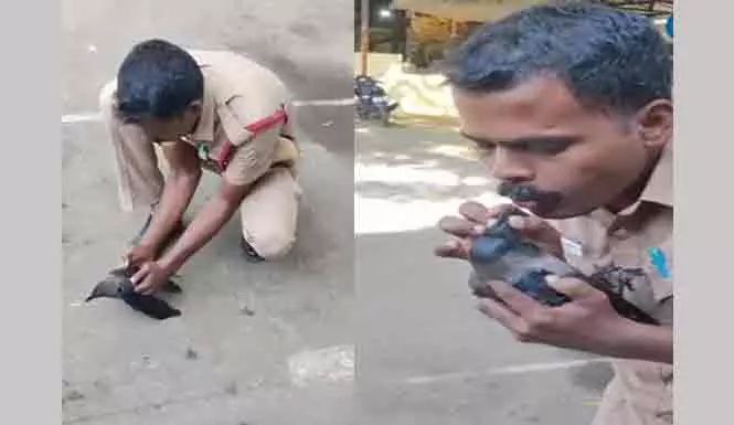 மின்சாரம் தாக்கி உயிருக்கு போராடிய காகம்… “சிபிஆர் செய்து மறுவாழ்வு கொடுத்த தீயணைப்புத்துறை வீரர்…‌ குவியும் பாராட்டுகள்..!!