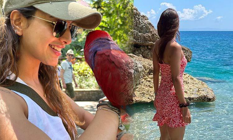 அடுத்தடுத்து ஹிட்… 10 மாதத்தில் ரூ.40 லட்சத்திலிருந்து ரூ.10 கோடியாக உயர்வு… அதிரடி காட்டிய பிரபல அனிமல் பட நடிகை…!!