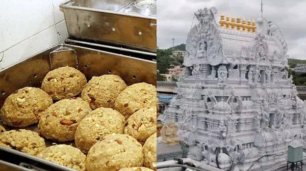 திருப்பதி லட்டுவில் பன்றி இறைச்சி, மாட்டு கொழுப்பு, மீன் எண்ணெய் இருந்தது உண்மைதான்…. அமைச்சர் பரபரப்பு பேட்டி…!!!