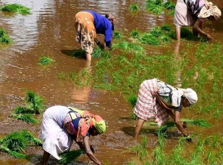 வெற்றிகரமான 25-வது வருடம்…. விவசாயிகளுக்கு காத்திருக்கும் சூப்பர் சர்ப்ரைஸ்…. தமிழக அரசு அசத்தல்…!!!