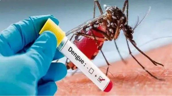 மக்களே உஷார்…! தமிழகத்தில் அதிகரிக்கும் டெங்கு பரவல்… 12,600 பேர் பாதிப்பு…. வெளியான முக்கிய எச்சரிக்கை..!!