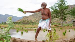 குட் நியூஸ்..!! விவசாயிகளுக்கு சூப்பர் திட்டம்… மத்திய அரசு அதிரடி அறிவிப்பு…!!