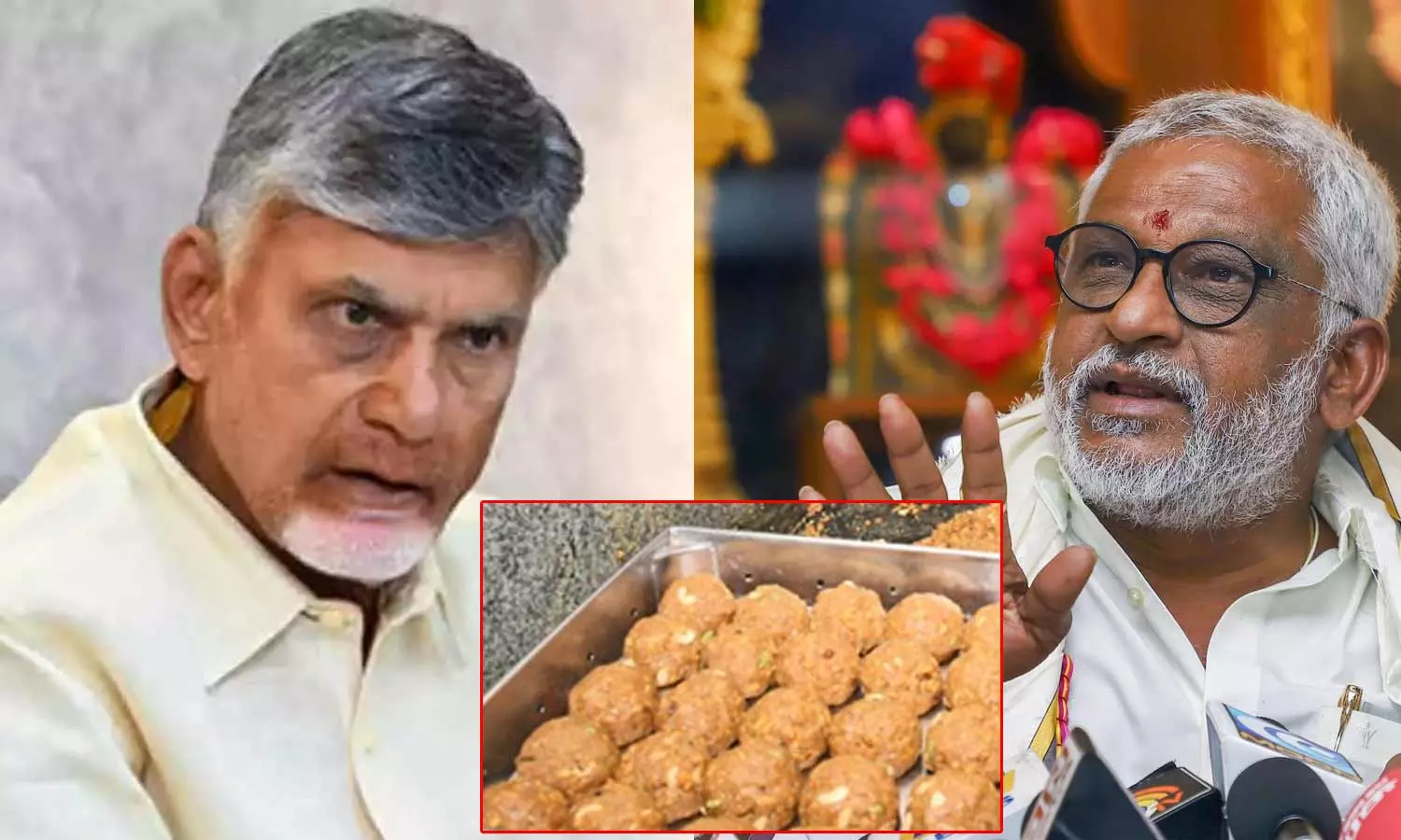 திருப்பதி கோவில் லட்டுவில் நெய் இல்லை… விலங்கின் கொழுப்பு தான் உள்ளது… சந்திரபாபு நாயுடு பரபரப்பு குற்றச்சாட்டு…!!!