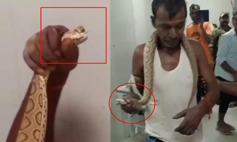 இதுதான் என்னை கடிச்சுச்சு… “கொடிய விஷமுள்ள பாம்பை கழுத்தில் சுற்றிக்கொண்டு ஹாஸ்பிடலுக்கு போன நபர்”… பாம்போடு படுத்துக் கொண்டதால் பரபரப்பு..!!