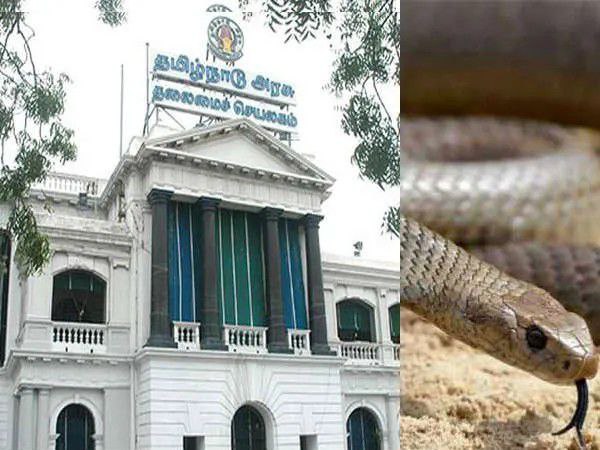 மக்களே ஜாக்கிரதை..! வீட்டுக்குள் வரும் பாம்புகள்… உடனே இந்த போன் நம்பரை நோட் பண்ணிக்கோங்க…!!