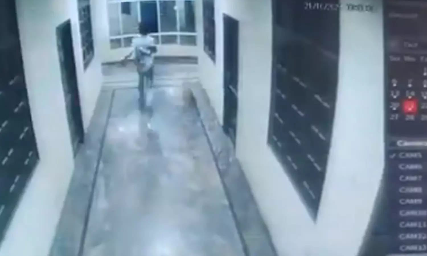பகீர்…! “திடீரென ஹோட்டலுக்குள் நுழைந்த நாய்”… விரட்டிய வாலிபர்… நொடிப்பொழுதில் பறிபோன உயிர்… பதற வைக்கும் வீடியோ…!!