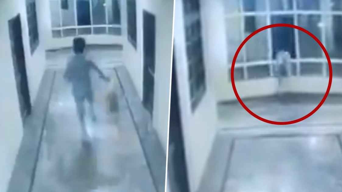 நாயை துரத்திய இளைஞர்…. ஒரு நொடியில் நடந்த சோகம் வெளியான பதப்பதைக்கும் சிசிடிவி காட்சிகள்….!!