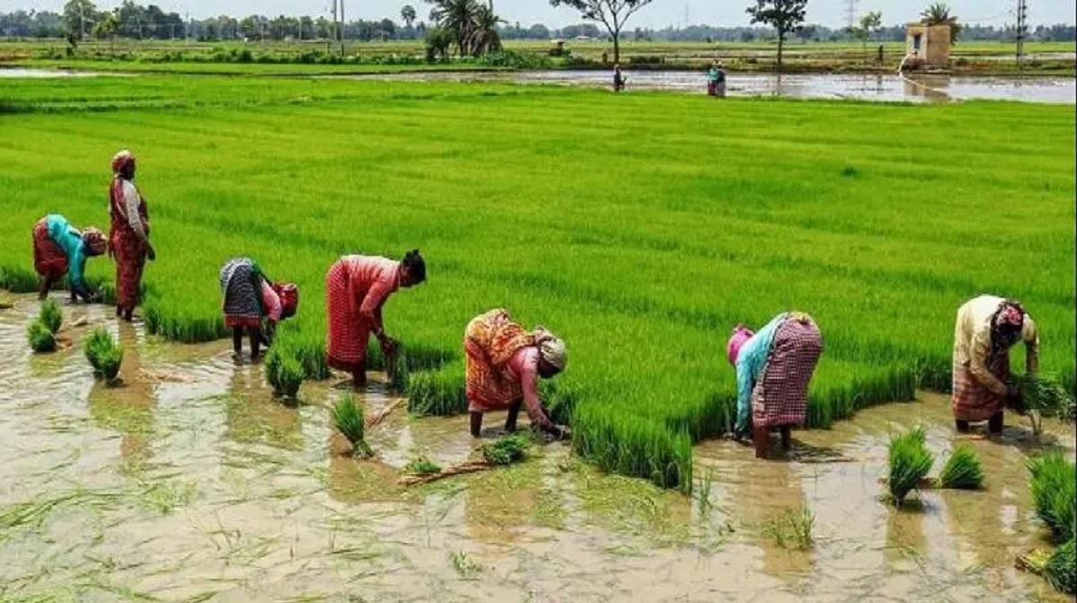 விவசாயிகளுக்கு குட் நியூஸ்…. வங்கி கணக்கிற்கு வரும் ரூ.5000…. அரசு வெளியிட்ட அசத்தல் அறிவிப்பு….!!!