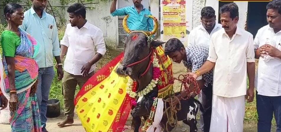 அந்த மாடு சரியில்ல வேற ஒரு மாடு கொடுங்க… கோரிக்கை வைத்த விவசாயி… உடனே உதவிய விஜய்…!!