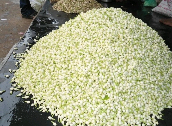 கிடு கிடுவென உயர்ந்த பூக்கள் விலை… ஒரு கிலோ மல்லி பூ ரூ.2500-க்கு விற்பனை… அதிர்ச்சியில் பெண்கள்..!!