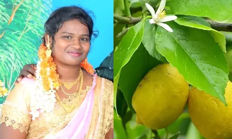 “எலுமிச்சை பழம் பறிக்க சென்ற பெண்”… சட்டென நடந்த விபரீதம்… ஐயோ உயிரே போயிடுச்சே… கதறி துடிக்கும் உறவினர்கள்..!!!