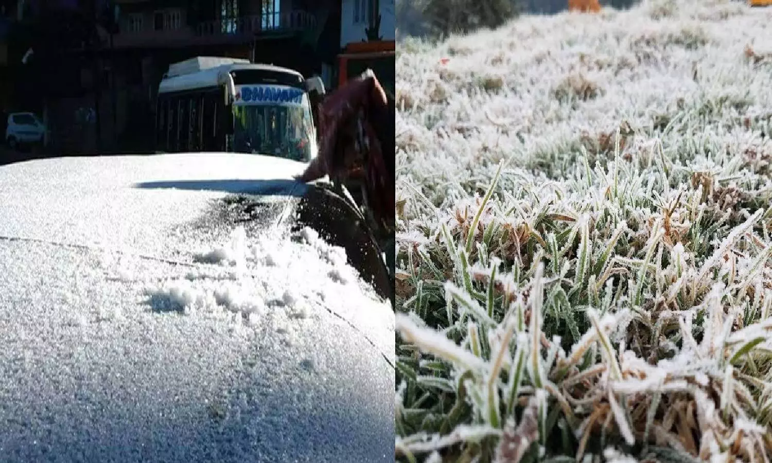 காஷ்மீர் போல் மாறிய ஊட்டி… வெள்ளைப் பூக்கள் போன்று  சுற்றிலும் உறைபனி… குஷியில் சுற்றுலா பயணிகள்..!!