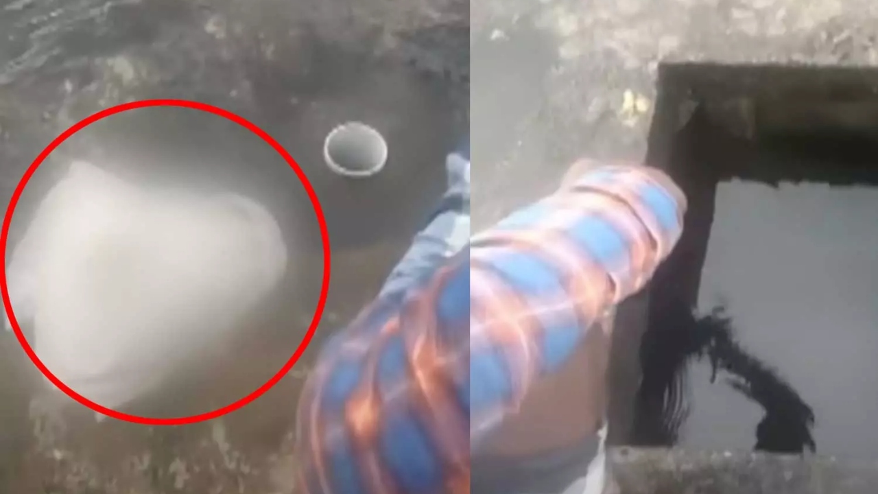 “அடிச்சி கேட்டாலும் ஒத்துக்காத…” வேங்கைவயலில் “மலம்” பையுடன் இருவர்…. வைரலாகும் வீடியோவால் பரபரப்பு…!!