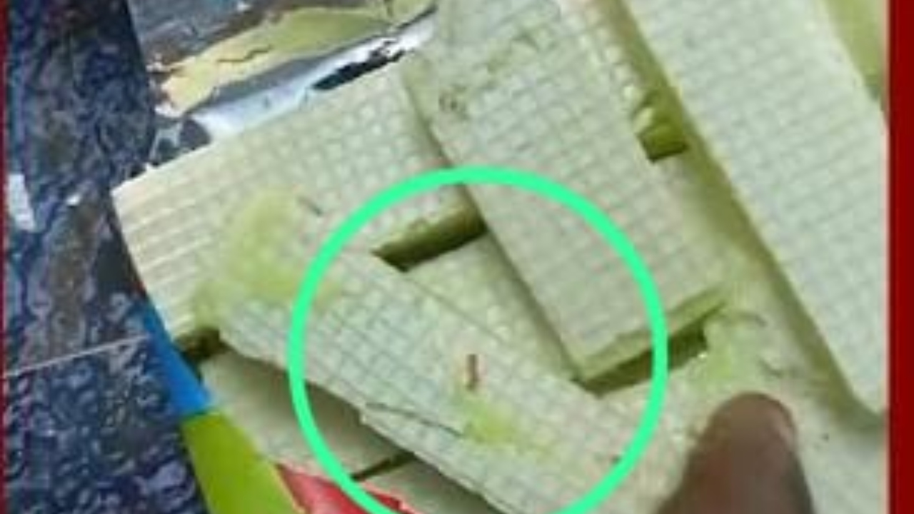 பெற்றோர்களே உஷார்….! நபாட்டியில் உயிருடன் நெளிந்த புழுக்கள்…. அதிர்ச்சியூட்டும் வீடியோ….!!
