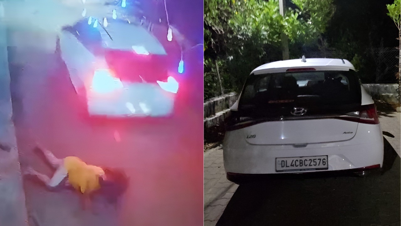 செல்லப்பிராணியை கொண்டு வர வேண்டாம்னு சொன்னது குத்தமா?…. காரை ஏற்றி கொன்ற பெண்…. அதிர்ச்சி சம்பவம்…!!