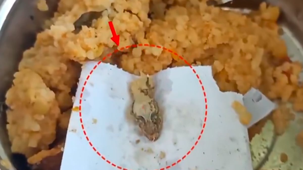 அரசுப் பள்ளி வழங்கிய மதிய உணவில் பல்லி…. 8 மாணவிகளுக்கு வாந்தி, மயக்கம்…. மருத்துவமனையில் தீவிர சிகிச்சை…!!!
