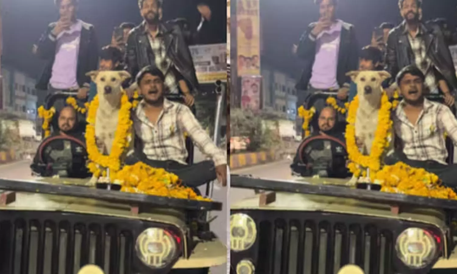கேக் வெட்டி… பட்டாசு வெடித்து… தெரு நாய்க்கு பிறந்தநாள் கொண்டாடிய வாலிபர்கள்…. இணையதளத்தில் வைரலாகும் வீடியோ…!!!