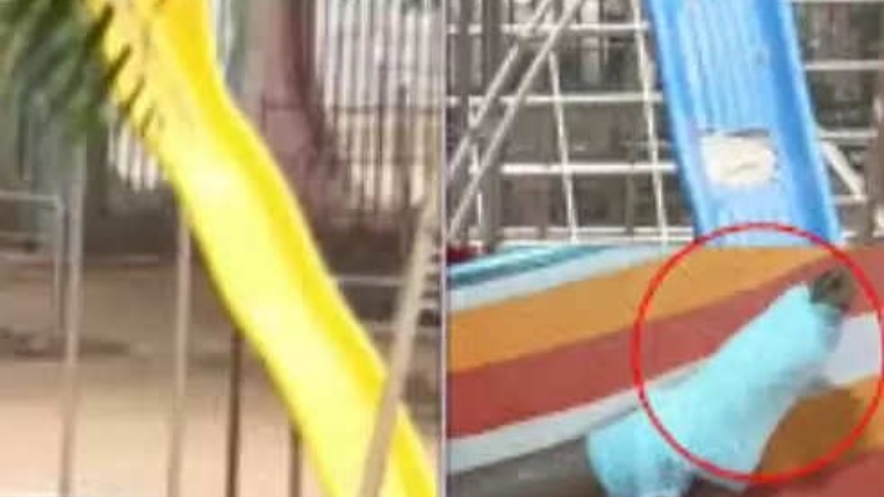 பெற்றோர்களே உஷார்…! பூங்காவில் விரல் துண்டாகி வலியில் துடித்த சிறுமி…. விளையாடிய போது நடந்த விபரீதம்….!!