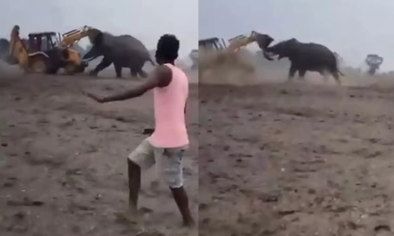 ஊருக்குள் உணவு தேடி வந்த யானை…. ஜேசிபி வைத்து விரட்டிய வாலிபர்…. போலீஸ் அதிரடி… வைரலாகும் வீடியோ…!!!