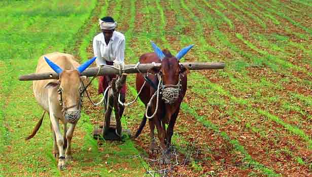 “இன்றோடு முடிவடைகிறது” சொந்த நிலம் வைத்திருக்கும் விவசாயிகளே… உடனே மறக்காம போங்க..!!