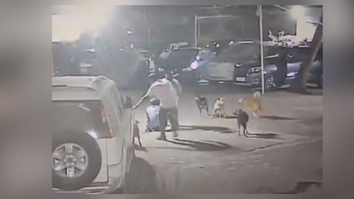 “கடிக்க வந்த நாய்கள்”.. உயிரைக் காக்க ஓடிய முதியவர்..‌‌ மிருகமாய் வந்த மனிதர்… கொடூர தாக்குதல்… பதைபதைக்க வைக்கும் வீடியோ..!!