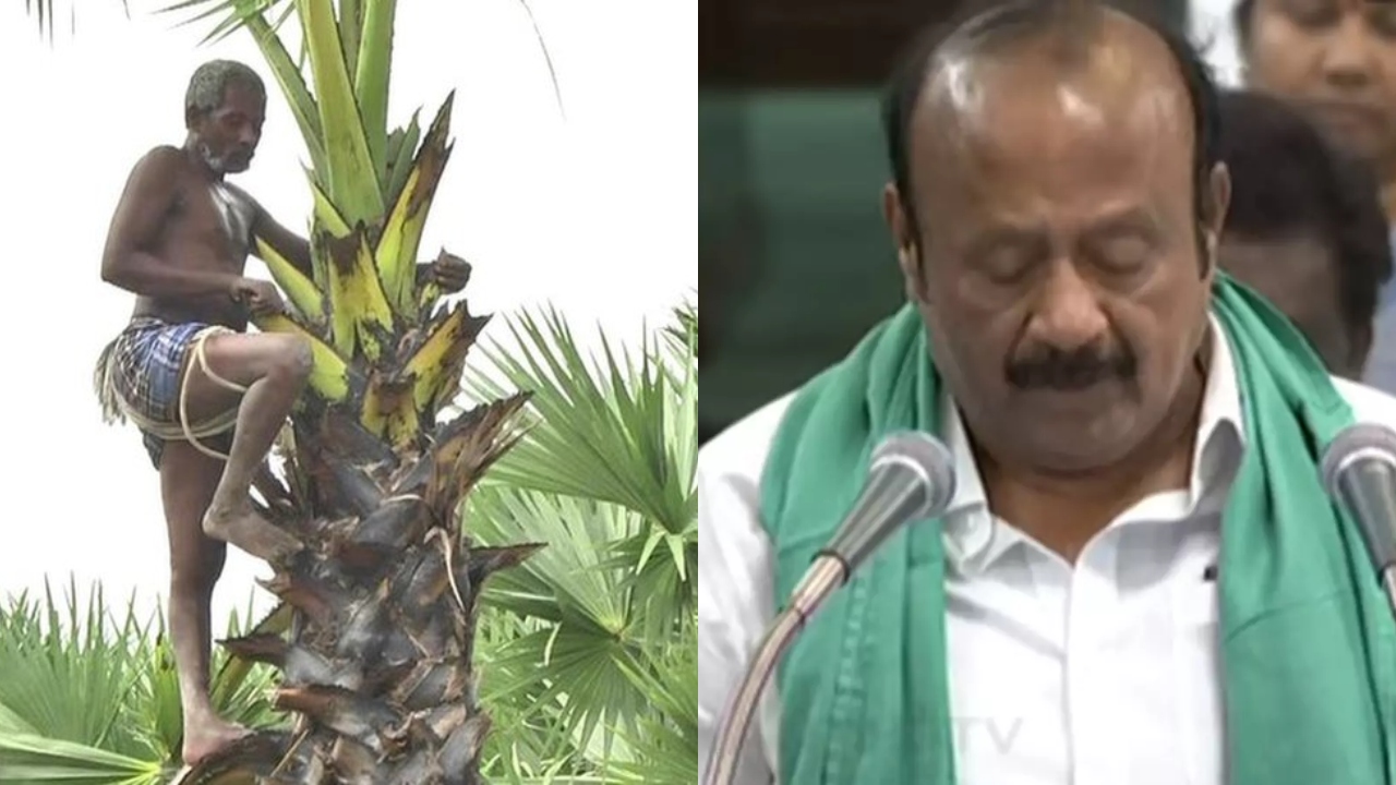 BREAKING: பனை சாகுபடி செய்யும் விவசாயிகளுக்கு…. பட்ஜெட்டில் வெளியான சூப்பர் அறிவிப்பு….!!