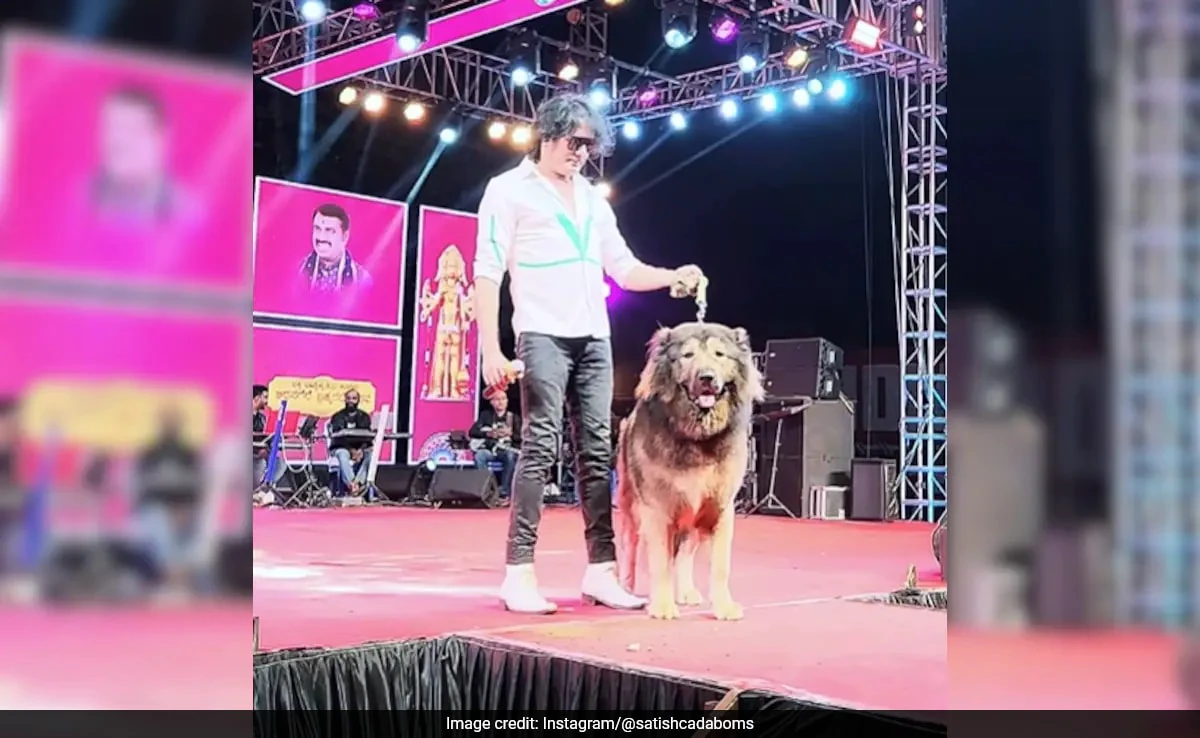 அடேங்கப்பா…! ரூ.50 கோடிக்கு அமெரிக்காவிலிருந்து நாய் வாங்கிய இந்தியர்… நடிகர்களை விட அதிகமாக சம்பாதிக்கிறோம் என்று கூறுகிறார்…!!