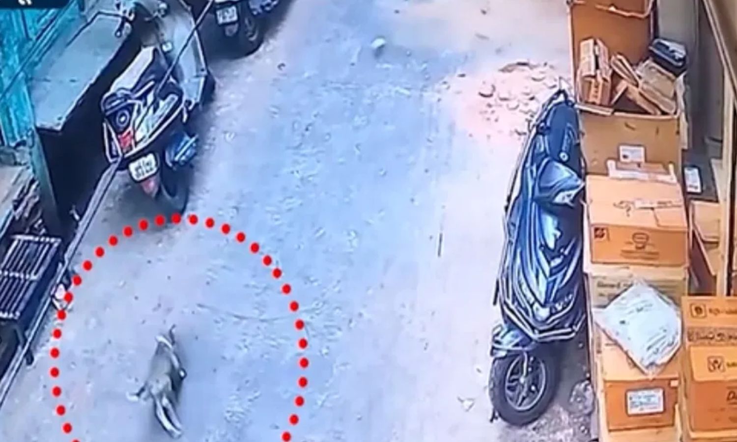 “100 வருடம் பழமையான கட்டிடம்”… உயிரைக் காப்பாற்ற ஓடிய நாய்… கண்ணிமைக்கும் நொடியில் நடந்த பயங்கரம்… பதை பதைக்க வைக்கும் வீடியோ…!!