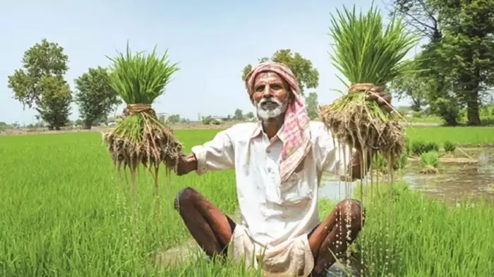 50% மானியம் கொடுக்கும் மத்திய அரசின் திட்டம்…. விவசாயிகளின் வங்கிக் கணக்கிற்கே வரும் பணம்….!!